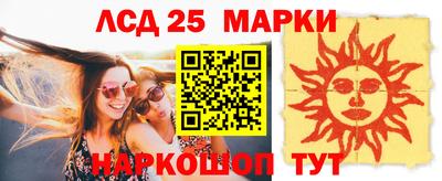 индика Можга
