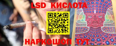 индика Можга