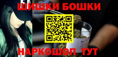 индика Можга