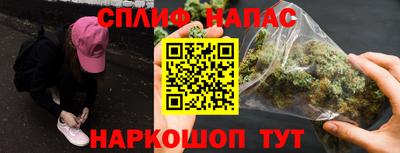 индика Можга