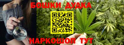 индика Можга