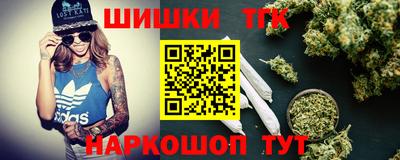 индика Можга