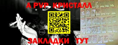 индика Можга
