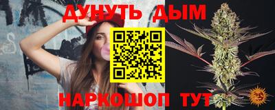 индика Можга