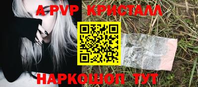 индика Можга