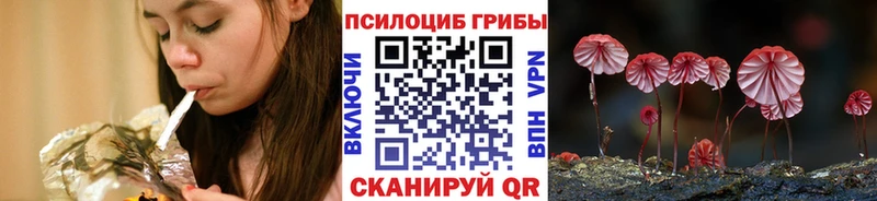 Галлюциногенные грибы прущие грибы  Сунжа 