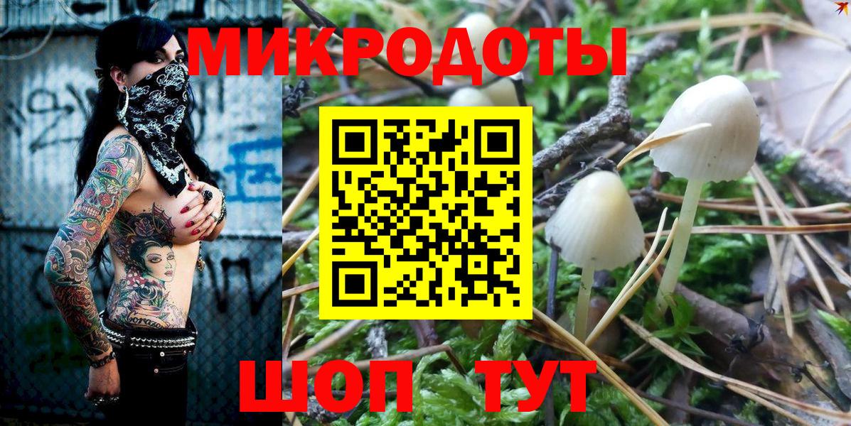 Псилоцибиновые грибы прущие грибы Сунжа